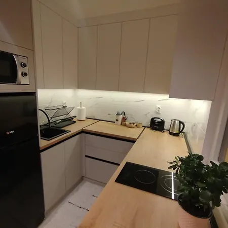 Anastasija I Danka Apartament Pirot